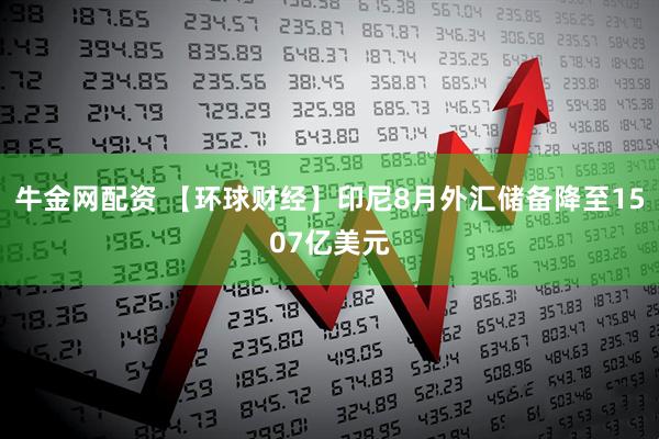 牛金网配资 【环球财经】印尼8月外汇储备降至1507亿美元