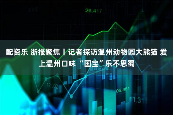 配资乐 浙报聚焦丨记者探访温州动物园大熊猫 爱上温州口味 “国宝”乐不思蜀