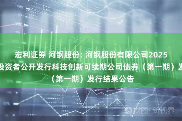 宏利证券 河钢股份: 河钢股份有限公司2025年面向专业投资者公开发行科技创新可续期公司债券（第一期）发行结果公告