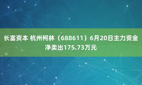 长富资本 杭州柯林（688611）6月20日主力资金净卖出175.73万元