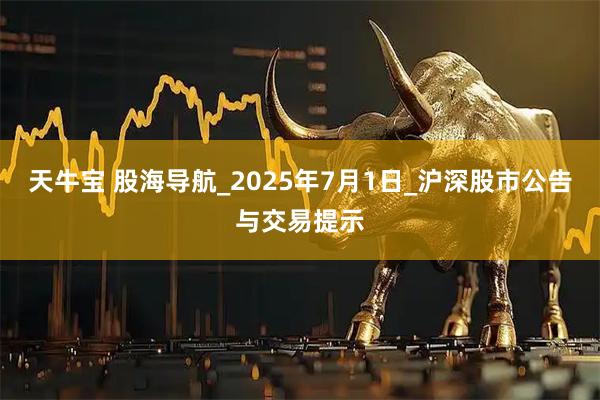 天牛宝 股海导航_2025年7月1日_沪深股市公告与交易提示